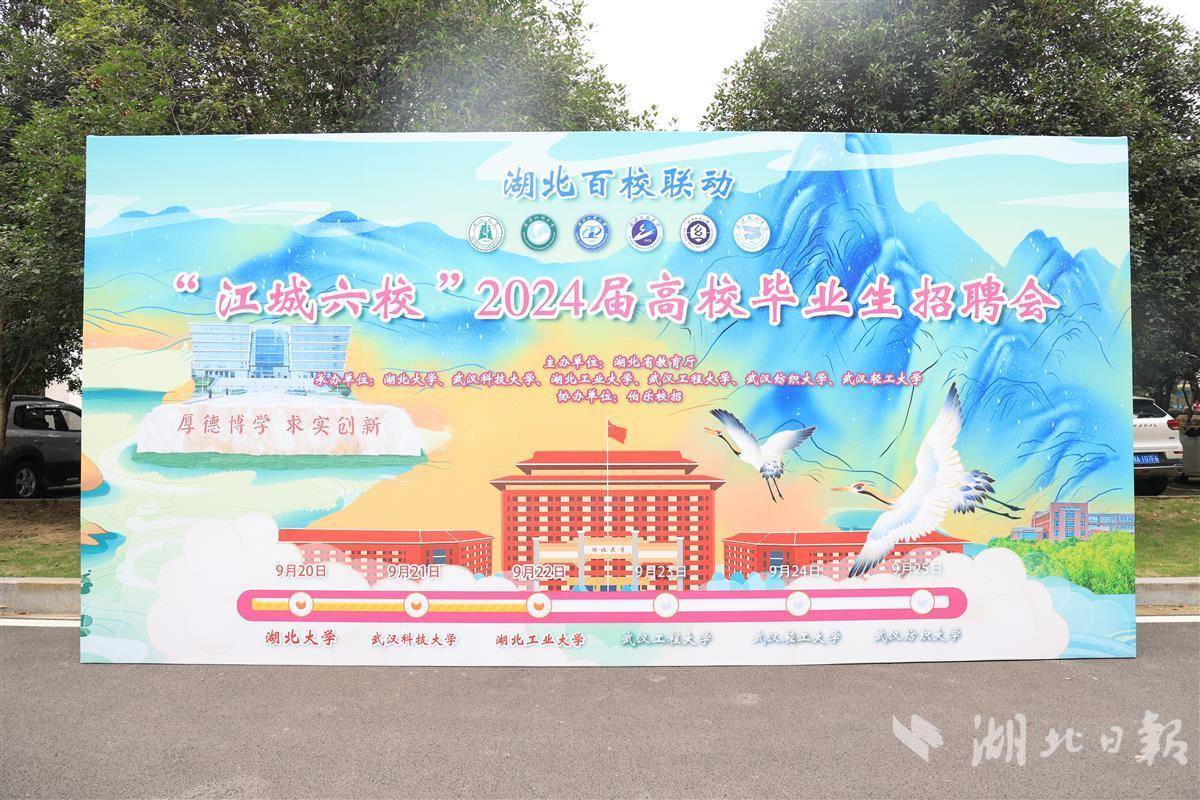 宝马 网址